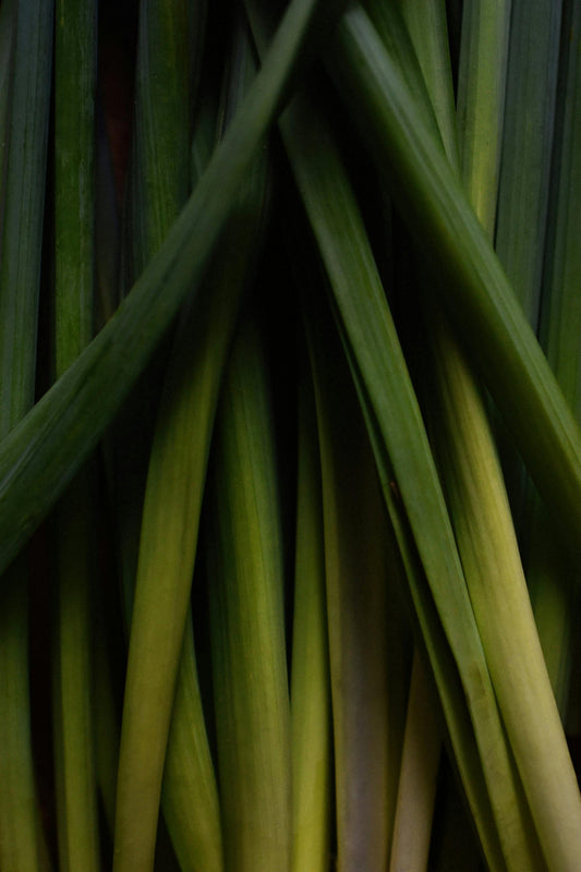 Lemongrass Essential Oil